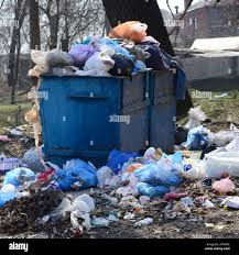 Same-Day Junk Removal Services in Plainview, MN