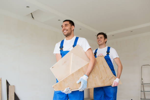Best Demolition Debris Removal  in Plainview, MN